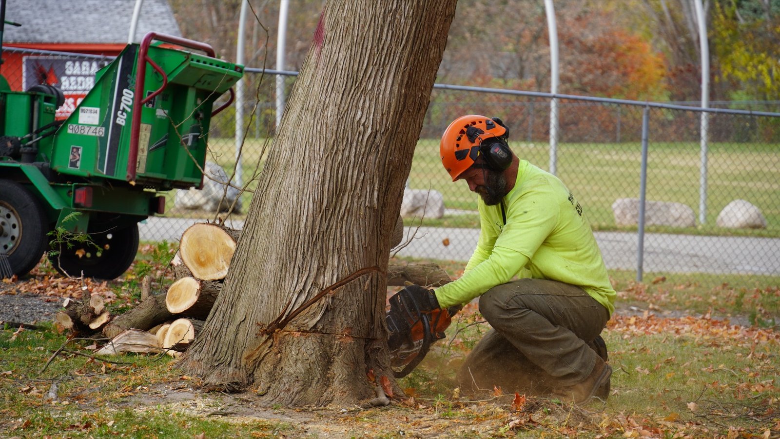 An Ole Man RB's climber taking down a large tree in sections beside a West Michigan home