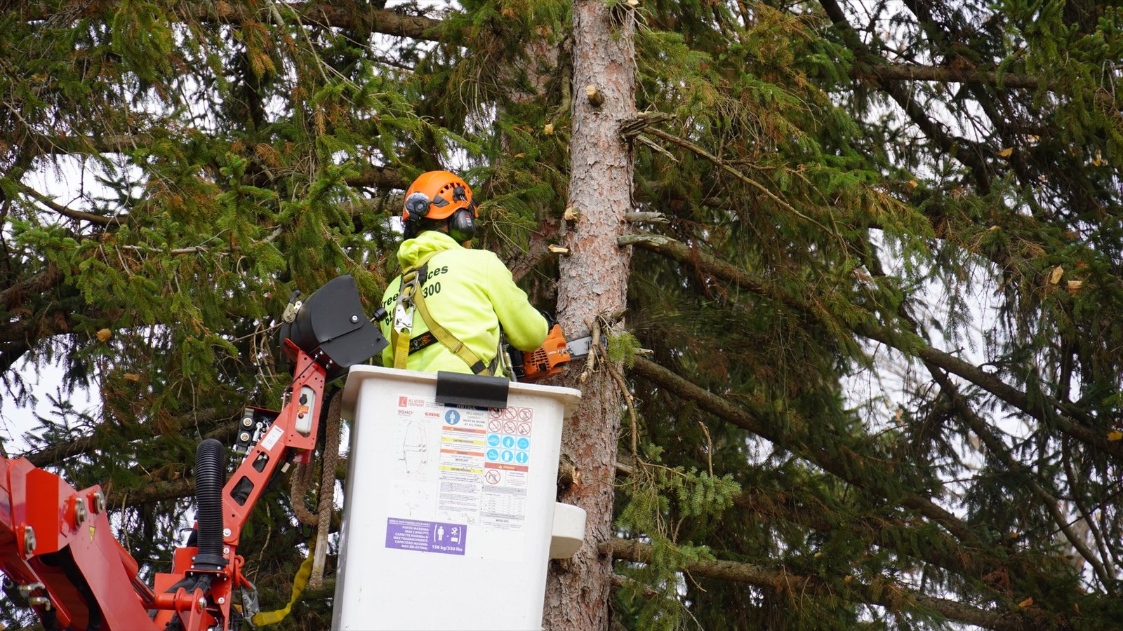 The Ole Man RB's tree crew on a West Michigan job