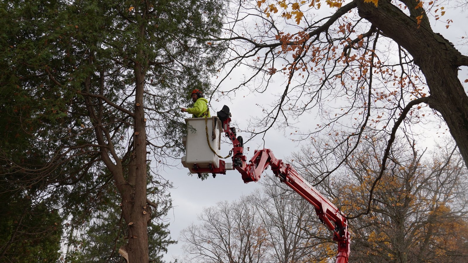 An Ole Man RB's climber making a clean clearance cut over a West Michigan rooftop