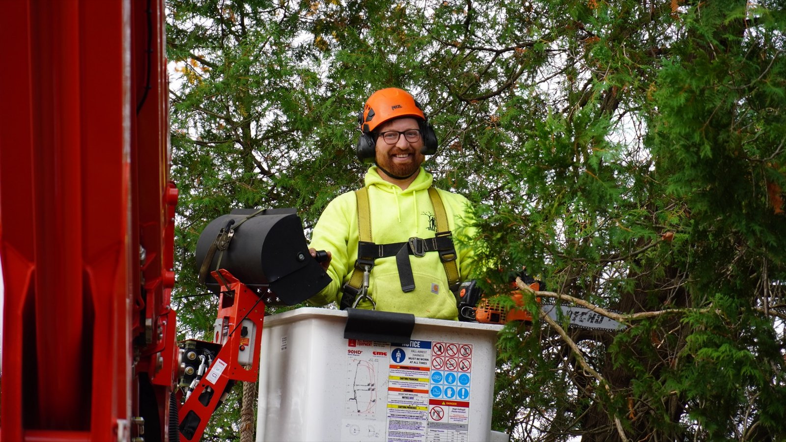 An Ole Man RB's climber taking down a large tree in sections beside a West Michigan home