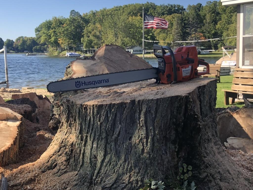 Stump removal and grinding in Trufant, MI