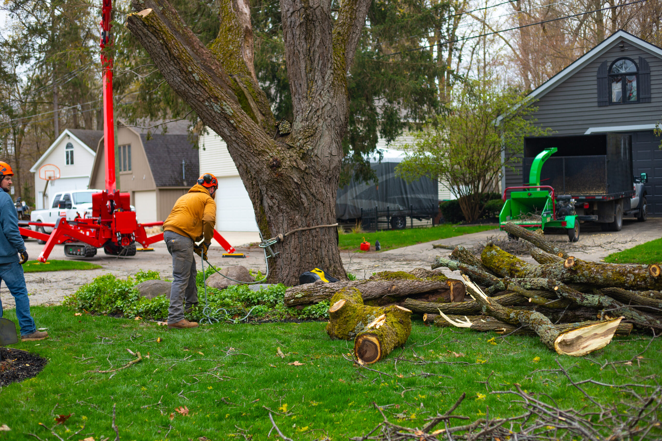 You are currently viewing What to Expect During a Professional Tree Removal in Michigan