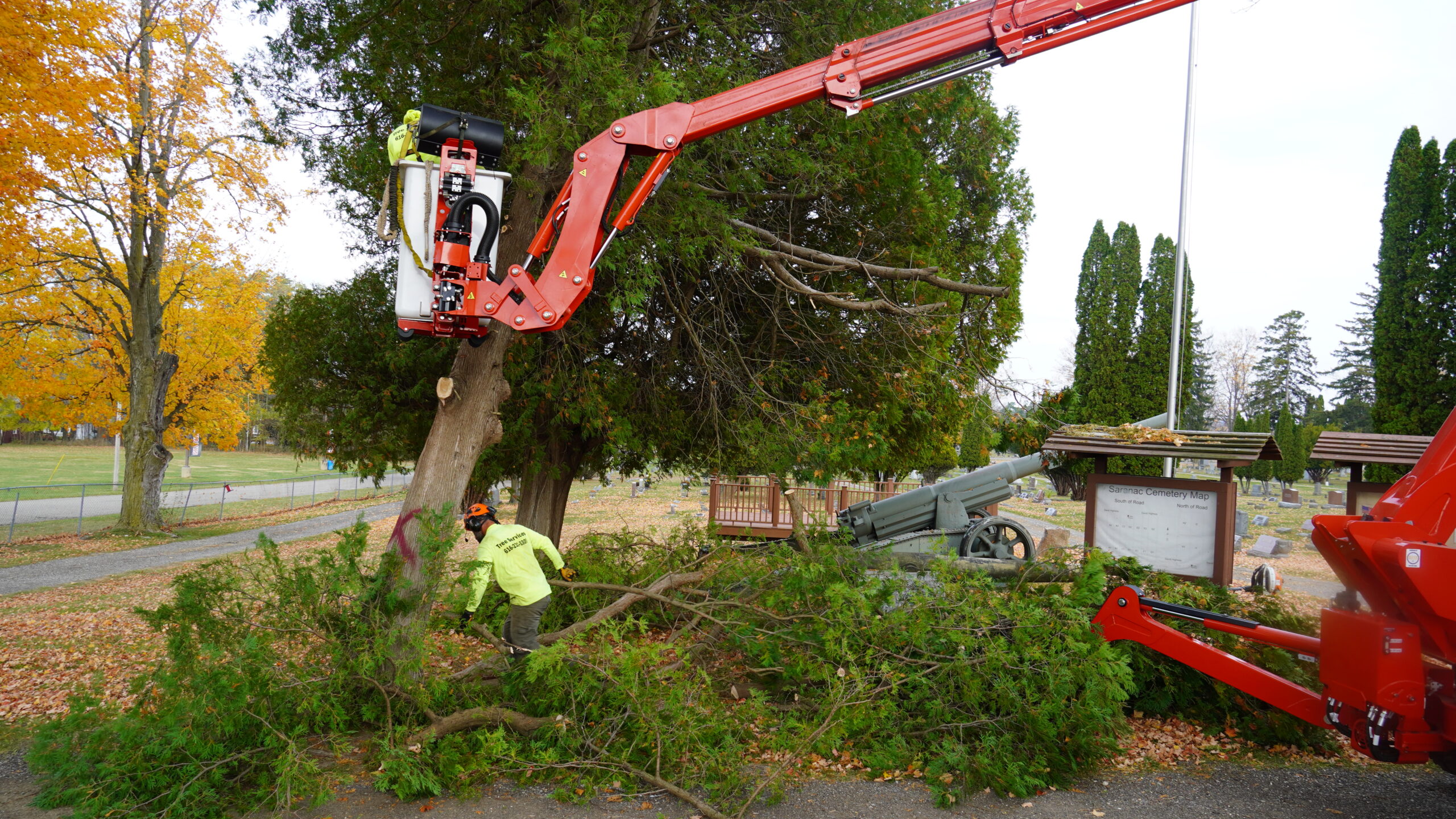 Read more about the article  The Importance of Professional Tree Removal for Safety and Aesthetics in Michigan