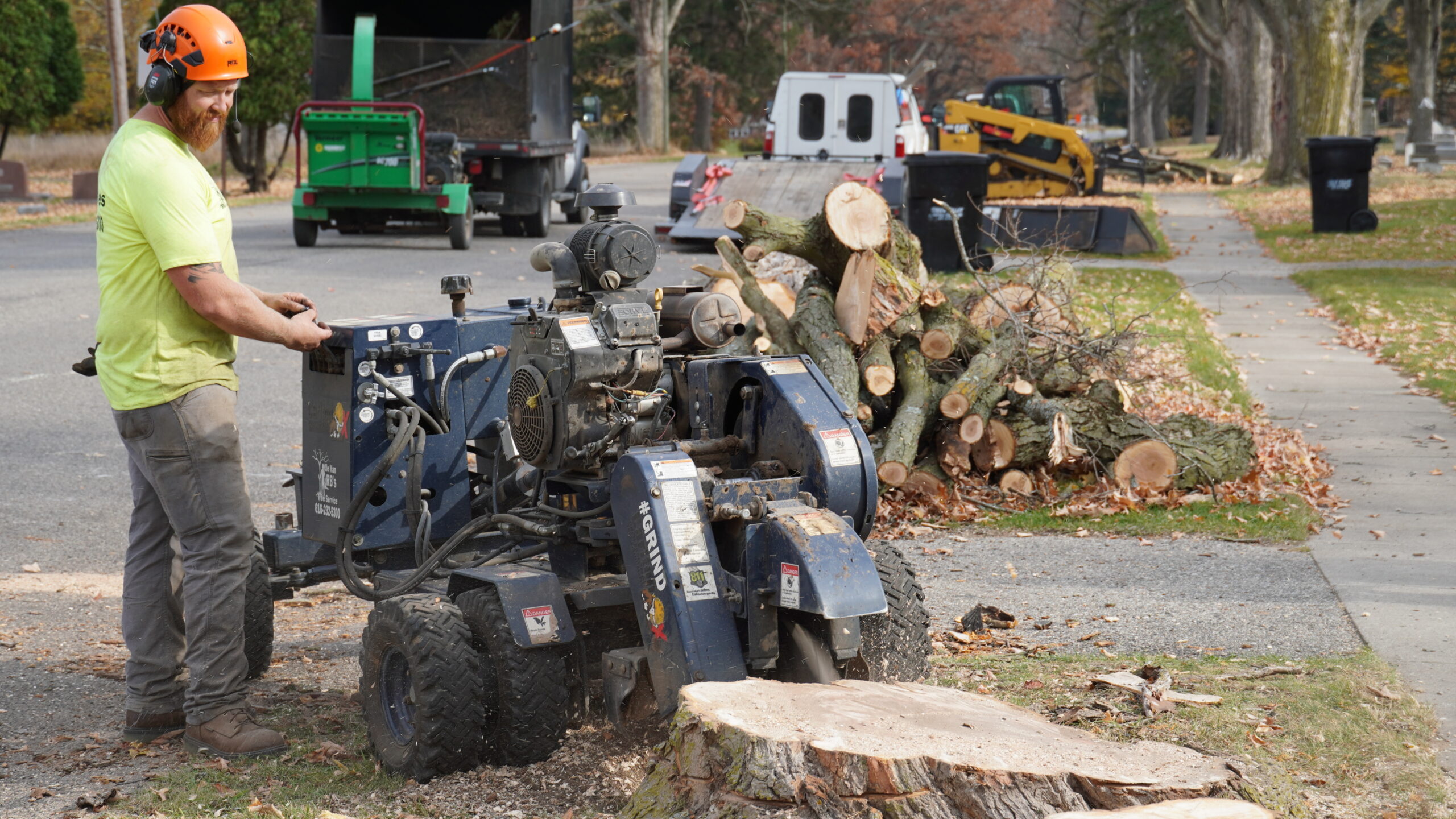 You are currently viewing Why Stump Removal Matters More Than You Think: