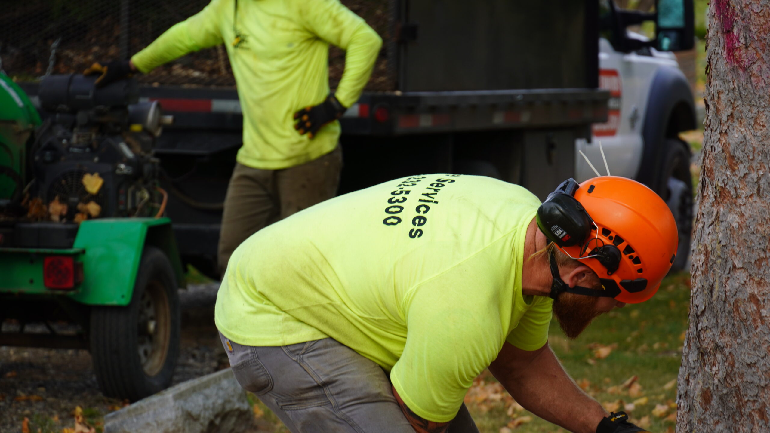 You are currently viewing DIY Tree Removal is Riskier Than You Think, Why Hiring Professionals Makes Sense For Michigan Homeowners.