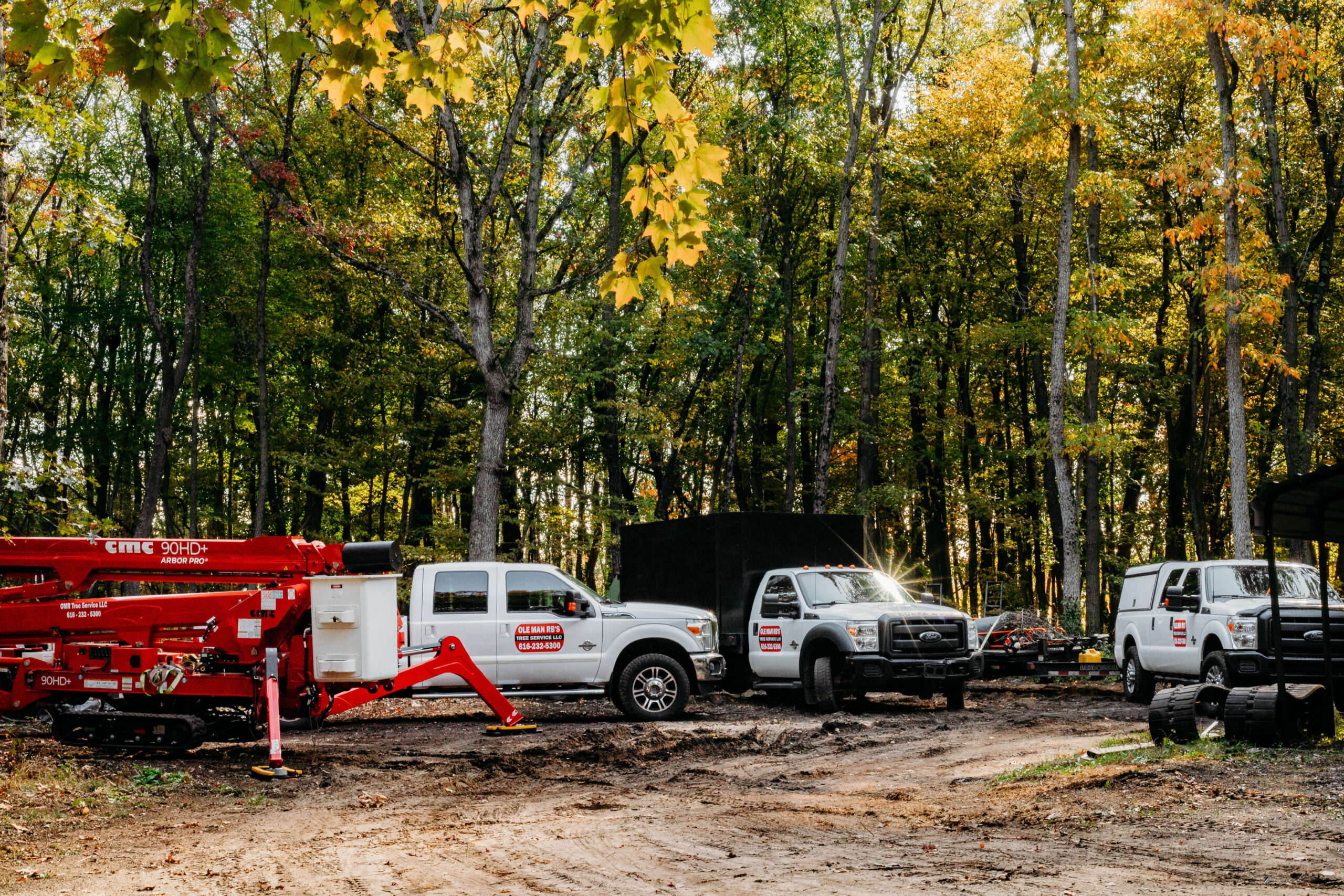 You are currently viewing How Regular Tree Inspections Can Prevent Expensive Emergencies