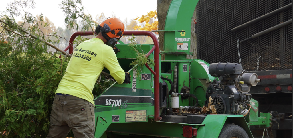 The Specialized Equipment Used for Winter Tree Removal (and Why DIY Is ...