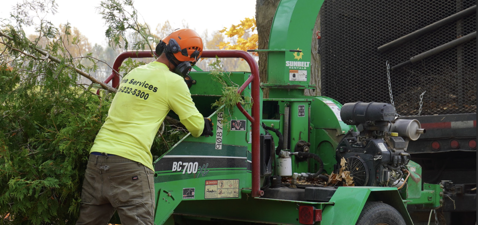 The Specialized Equipment Used for Winter Tree Removal (and Why DIY Is ...
