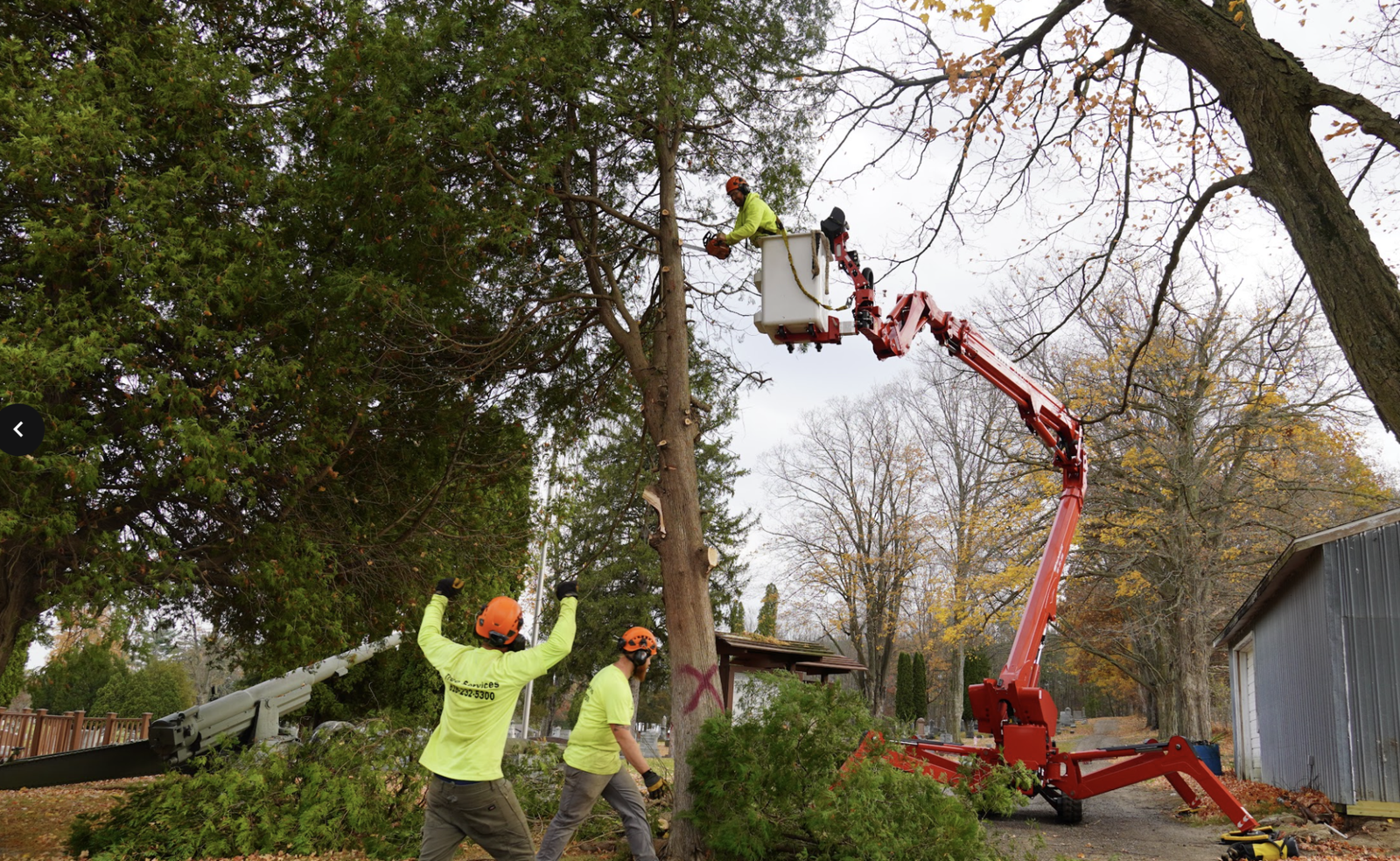 How Tree Removal Crews Protect Your Home & Landscaping - Ole Man RB's ...