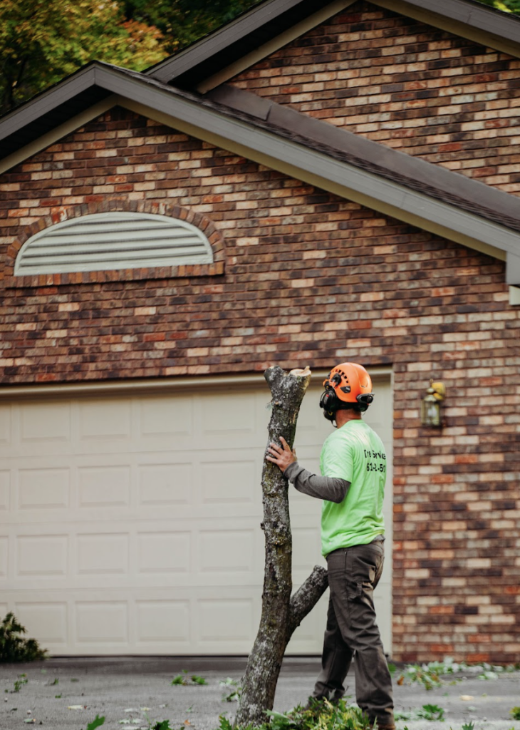 How to Handle a Neighbor’s Dangerous Tree: A Complete Guide for ...